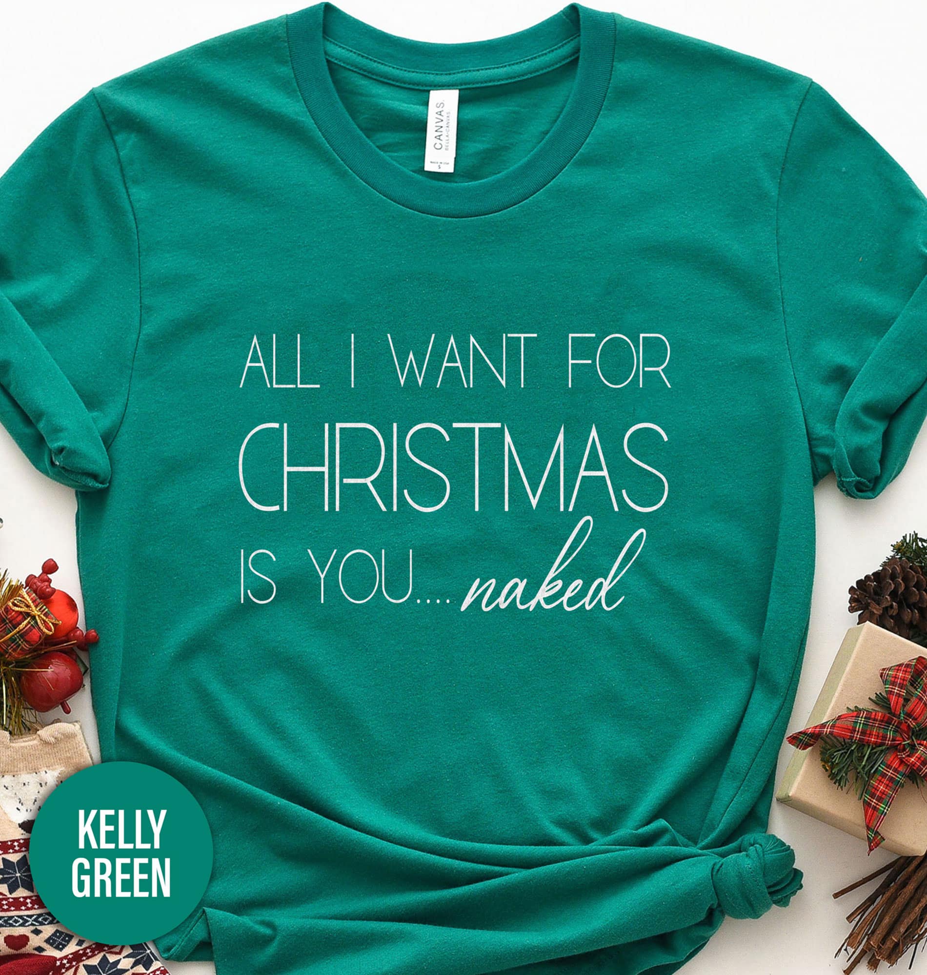 All I Wnat For Christmas Is You Christmas T Shirt