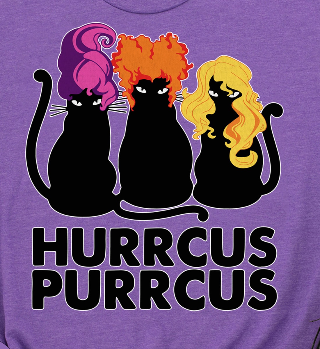 Hurrcus Purrcus Sanderson Sisters Halloween T Shirt