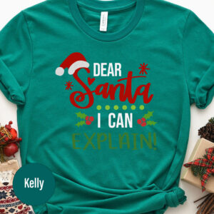 Fun 'i Can Explain' Christmas Tee – Holidayshirts.com