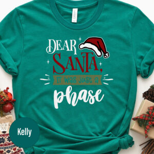 Fun Holiday Phase Christmas T-shirt - Unique Gift