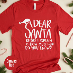 Fun Christmas Quiz Tee - Holiday Knowledge Shirt